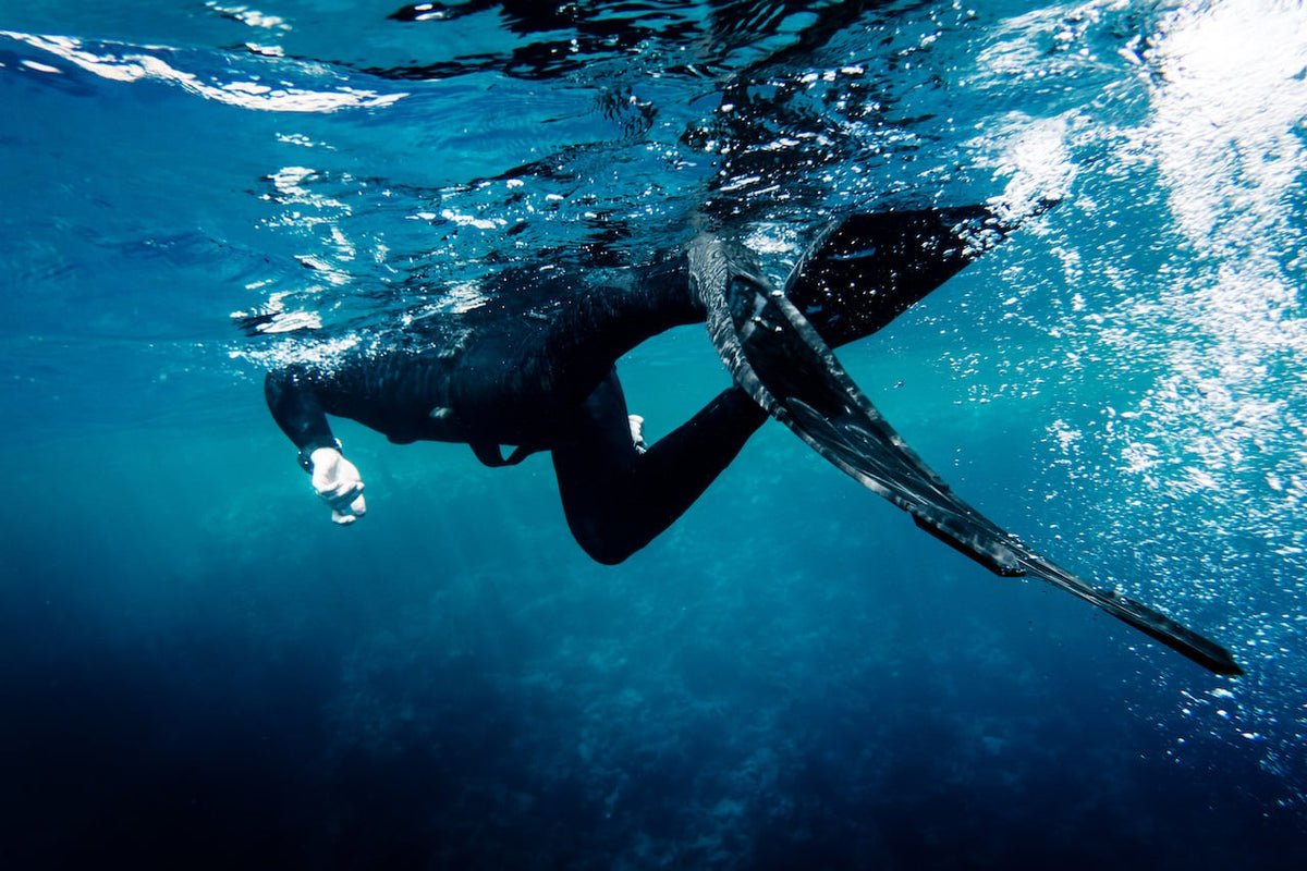 Dive fins