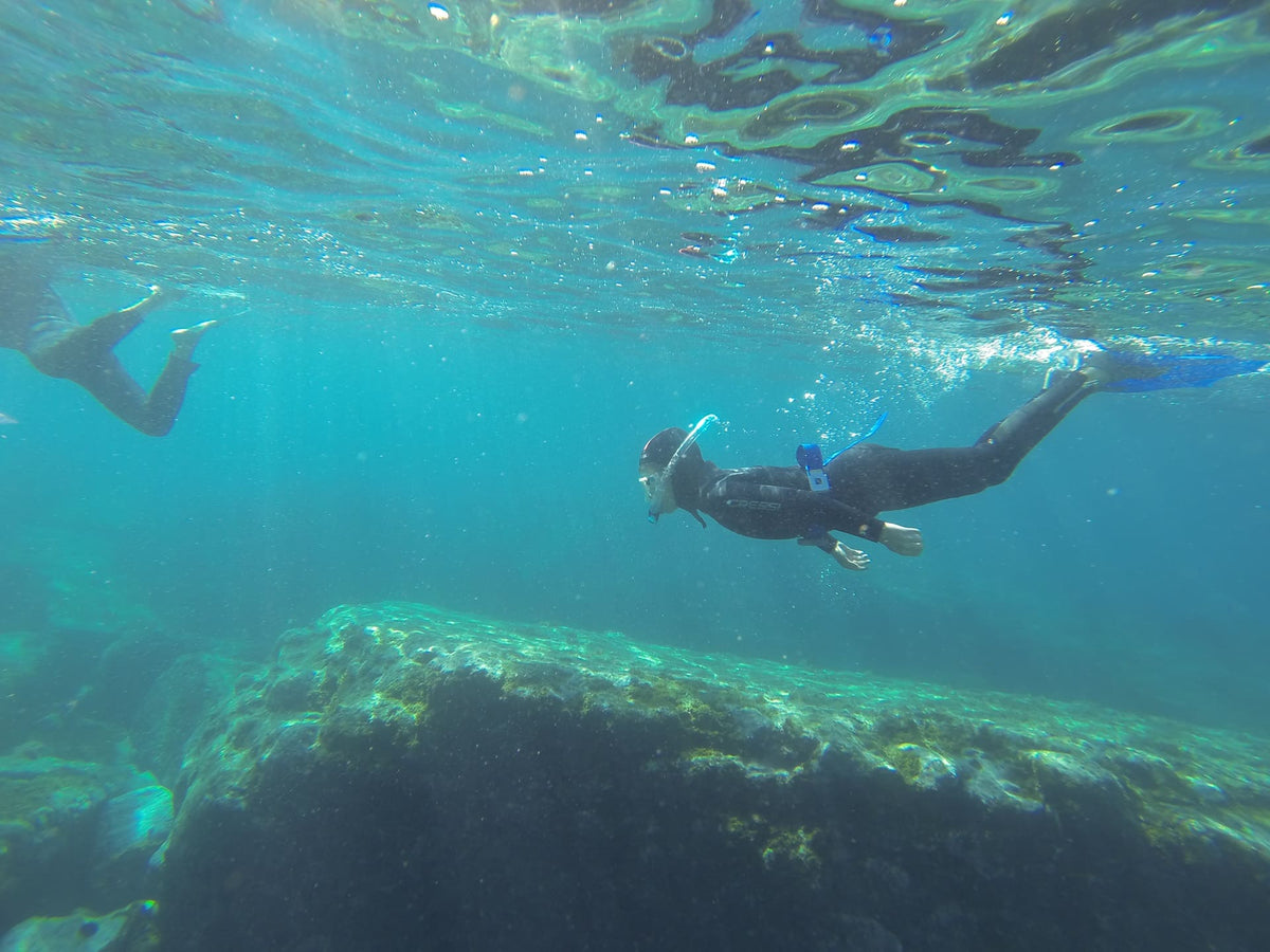 Masks & snorkels